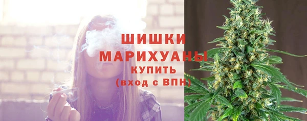 крисы Пересвет