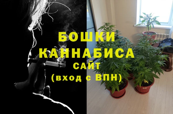 стаф Ветлуга