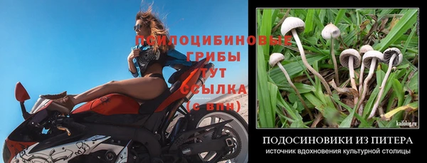 кокс Осташков