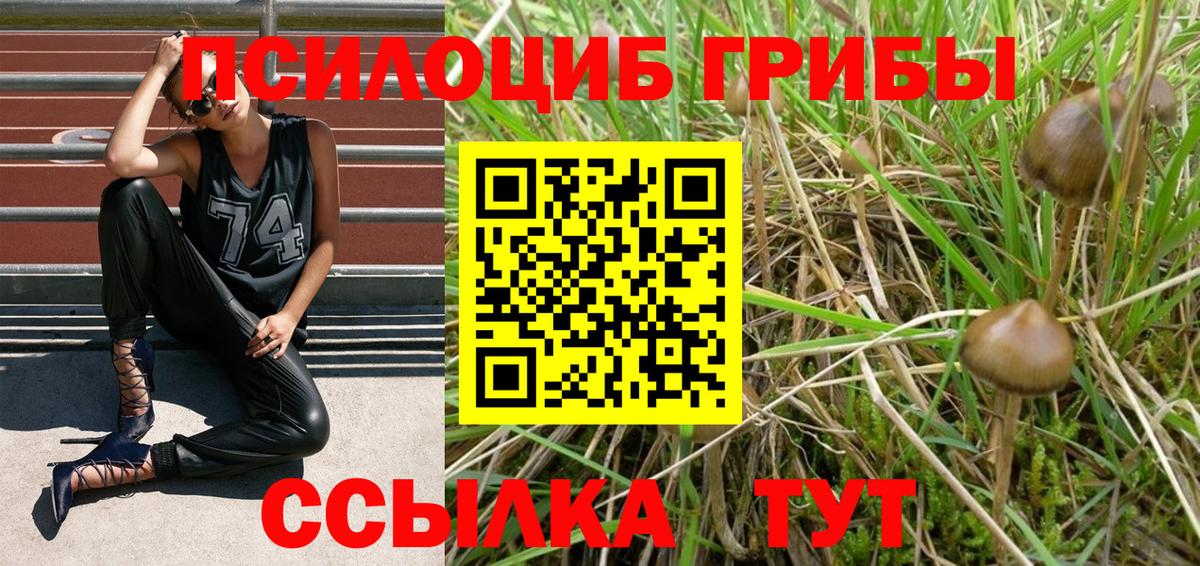 Кстово  Галлюциногенные грибы Magic Shrooms  Вход с VPN 